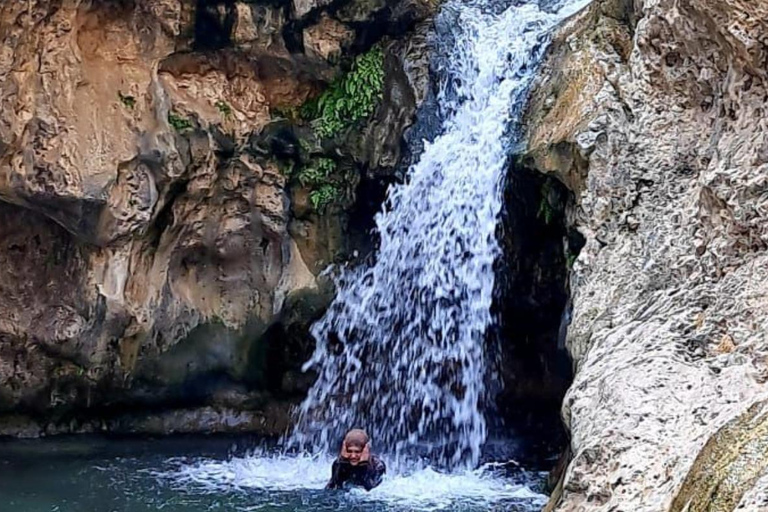 Muscat: Wadi Tiwi, Mibam, Frankincense Tree & Beach Tour