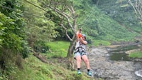 Sleeping Giant Zipline Adventure Park - Housity