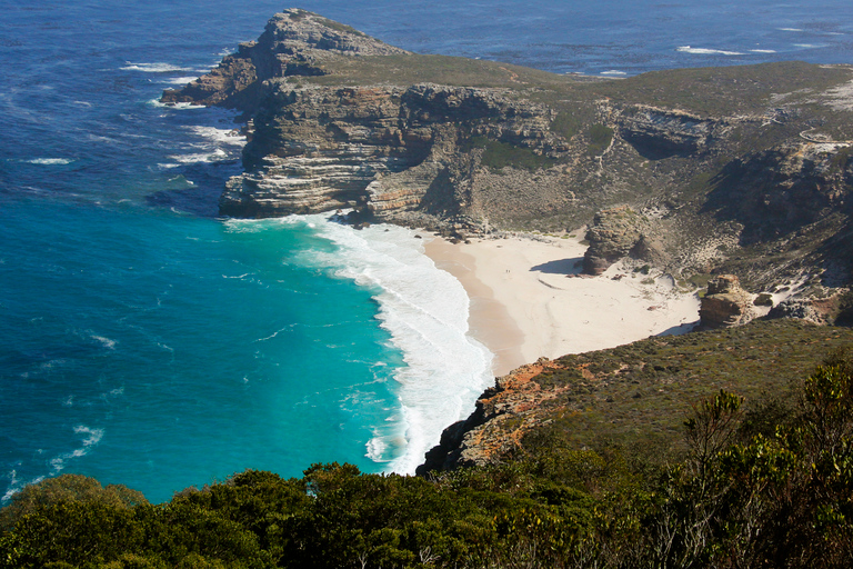 From Cape Town: Cape Point and Boulders Beach Full-Day Tour Tour Excluding Cape Point Park Fee