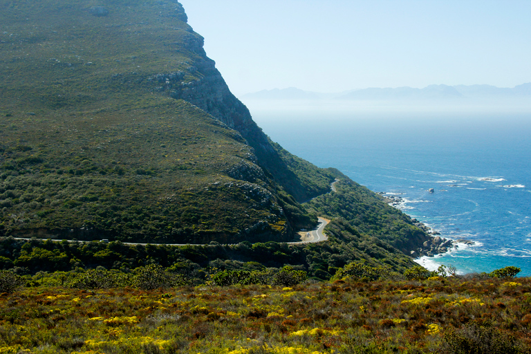 From Cape Town: Cape Point and Boulders Beach Full-Day Tour Tour Excluding Cape Point Park Fee