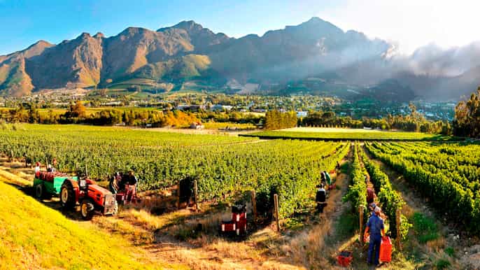 from cape town fullday winelands tour with tasting