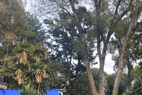 Mexico City: Entrance Ticket to the Frida Kahlo Museum