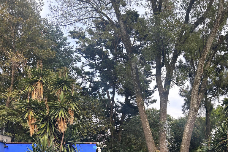 Mexico City: Entrance Ticket to the Frida Kahlo Museum