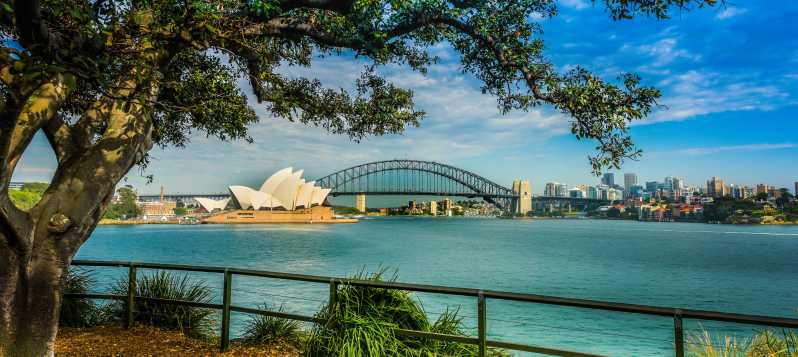 Sydney sadamast Bondi: Bondi: Väikese grupi poolpäevane kogemus