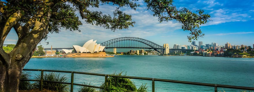 Du port de Sydney à Bondi : expérience d'une demi-journée en petit groupe