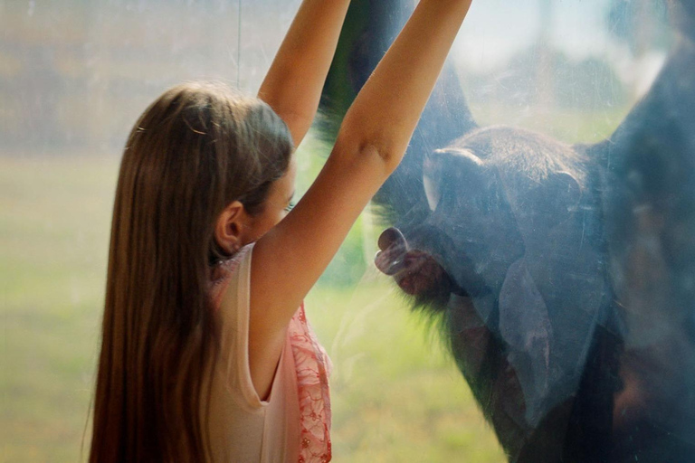 Dubai: Dubai Safari Park Entry Pass Safari Park Pass with Train and Explorer Safari Tour