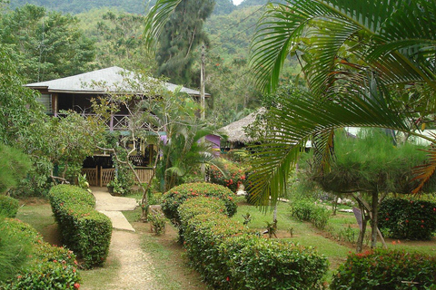 Promenade sur la rivière des chutes de Mayfield avec transport privéDepuis Negril