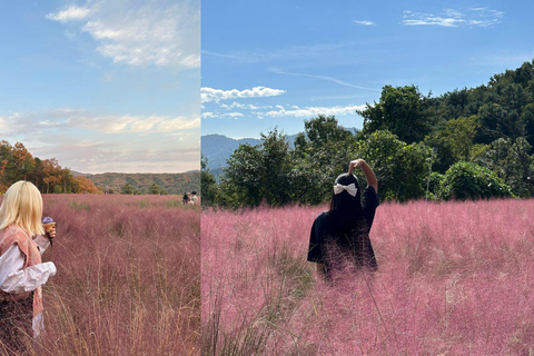 Z Seulu: Pocheon, jezioro Sanjung i jesienna wycieczka do BidulginangOdjazd ze stacji Dongdaemun H&amp;C Park, wyjście 10