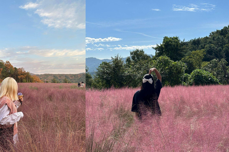 Z Seulu: Pocheon, jezioro Sanjung i jesienna wycieczka do BidulginangOdjazd ze stacji Dongdaemun H&amp;C Park, wyjście 10