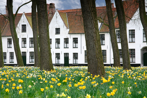 From Amsterdam. 12-Hour Guided Day Trip to Bruges