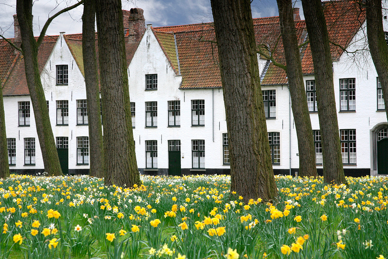 From Amsterdam. 12-Hour Guided Day Trip to Bruges