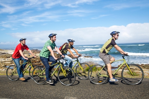 Cape Town: visite guidée privée à vélo de 9 heures à Cape Point