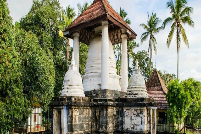 Kandy Heritage and Cultural Temple Tour