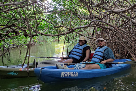 Cancun: 3-uur durende kajaktocht in Nichupte Lagoon