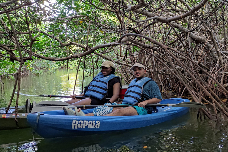 Cancun: 3-uur durende kajaktocht in Nichupte Lagoon