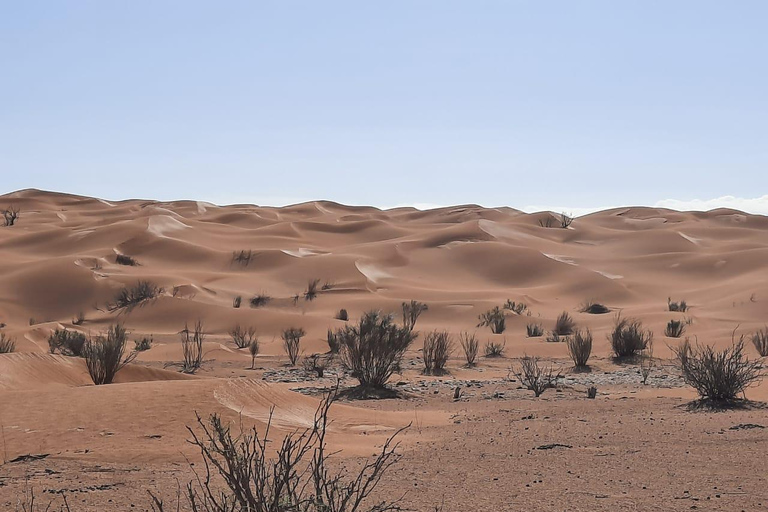 Camel Ride in Bir Abdallah ( Ksar Ghilan )