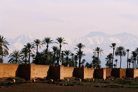 Majorelle Garden &amp; Menara Garden Tour &amp; Carriage RideMarrakech: Majorelle- och Menara-trädgårdarna: rundtur och vagnsresa