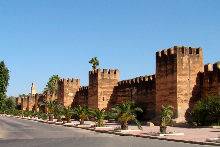 Majorelle Garden &amp; Menara Garden Tour &amp; Carriage RideMarrakech: Majorelle- och Menara-trädgårdarna: rundtur och vagnsresa