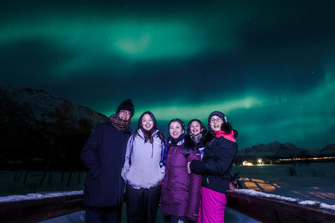 De Tromsø: Perseguição de ônibus guiada pela aurora borealDe Tromsø: Tour Guiado de Ônibus em Busca da Aurora Boreal