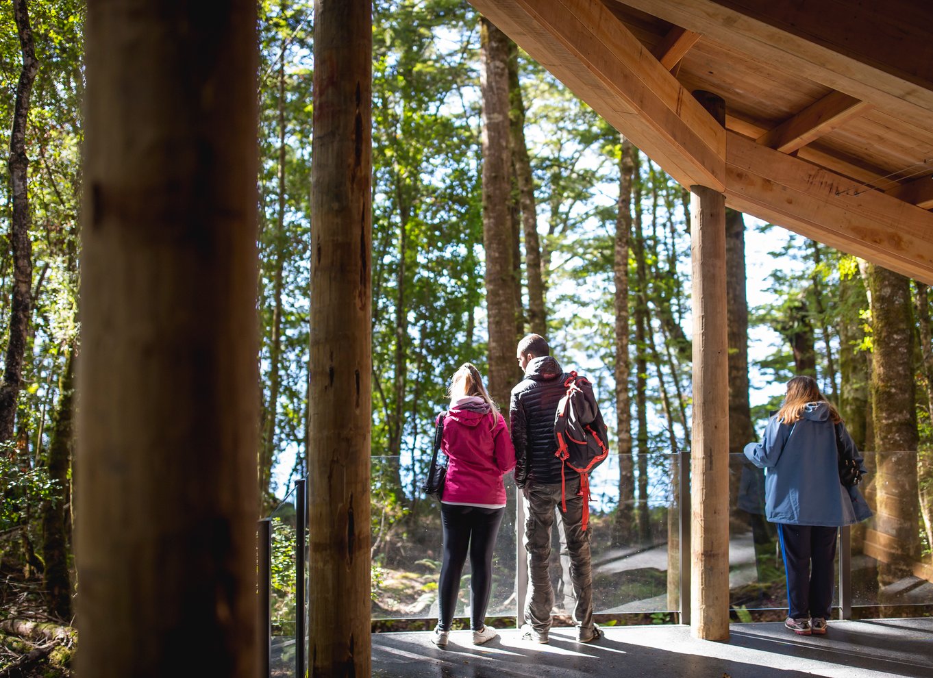 Te Anau: Glowworm Caves Guidet tur