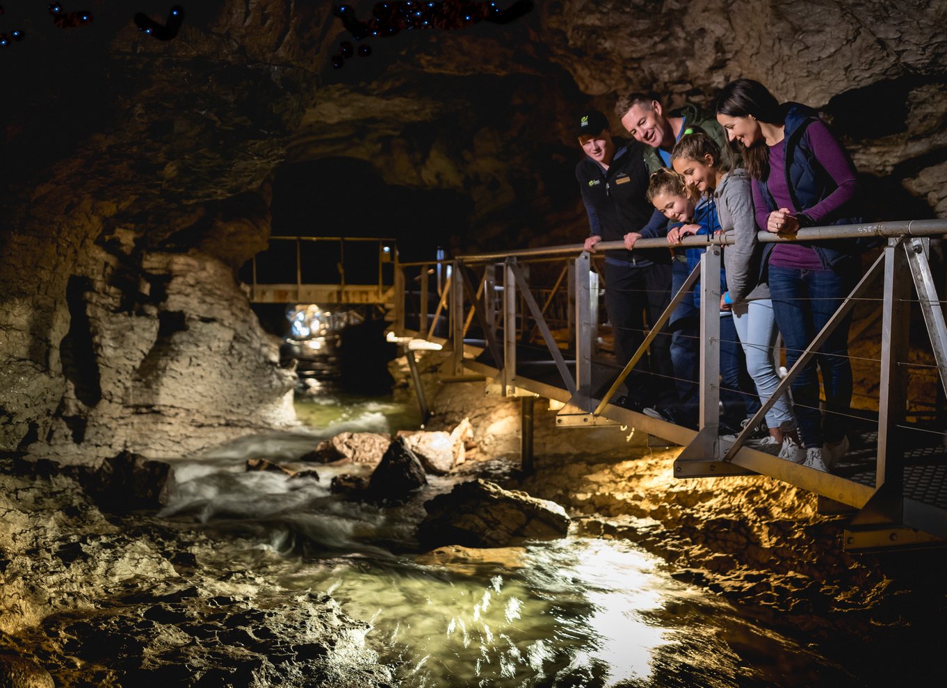 Te Anau: Glowworm Caves Guidet tur