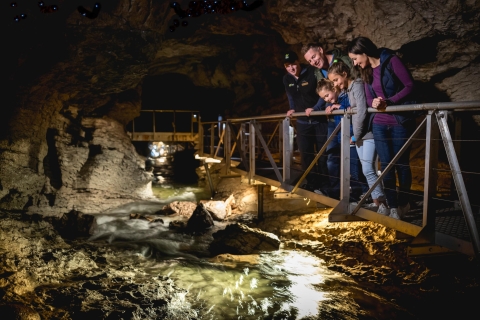 Te Anau: Glowworm Caves Guided TourWycieczka z przewodnikiem Te Anau Glowworm Caves