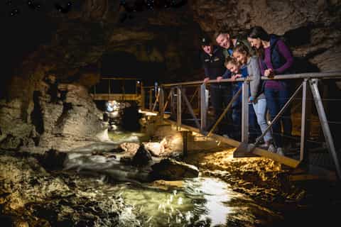 Te Anau: Glowworm Caves Guided Tour