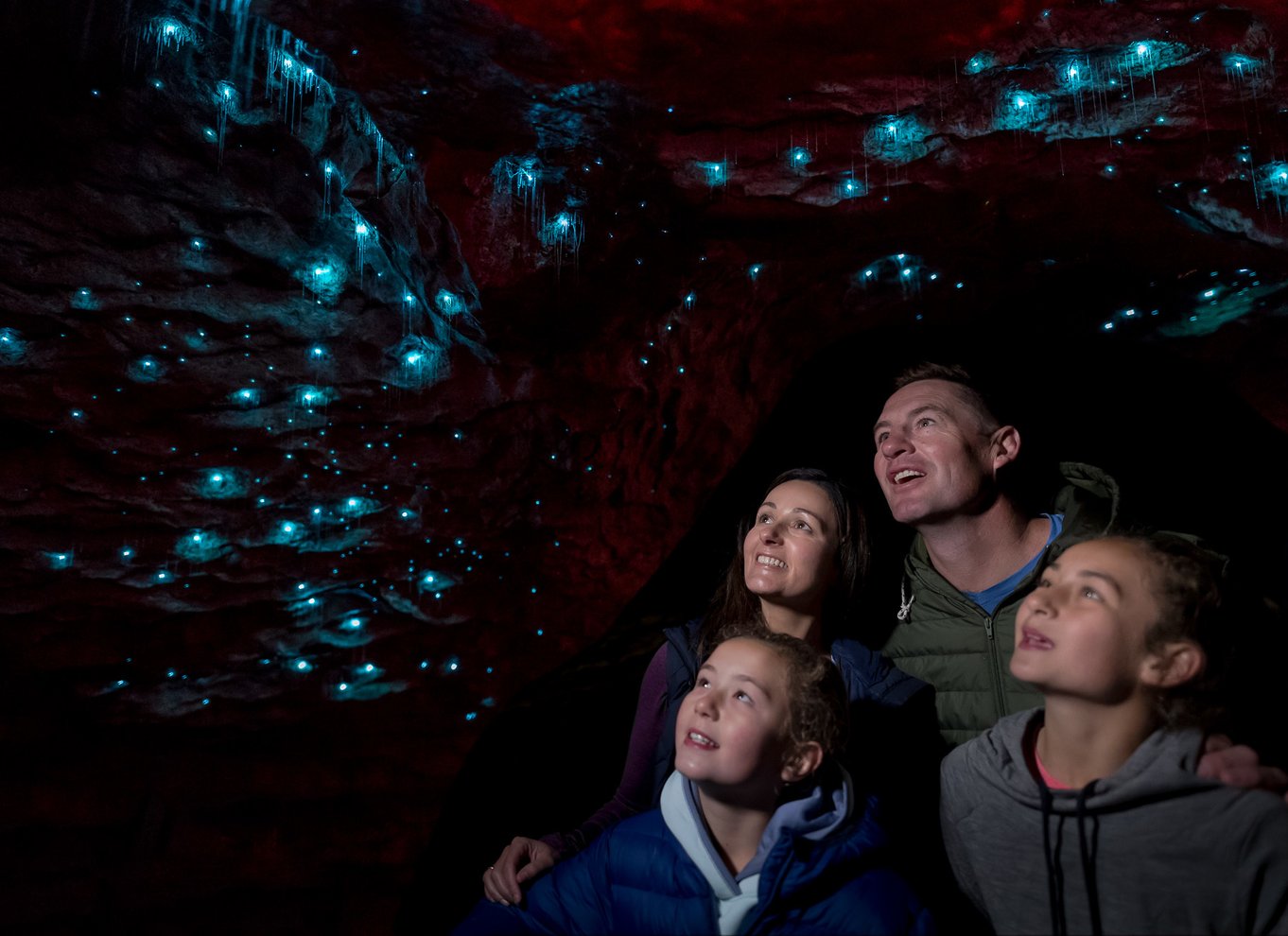 Te Anau: Glowworm Caves Guidet tur