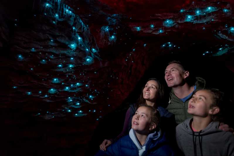 Te Anau : Visite guidée des grottes du ver luisant