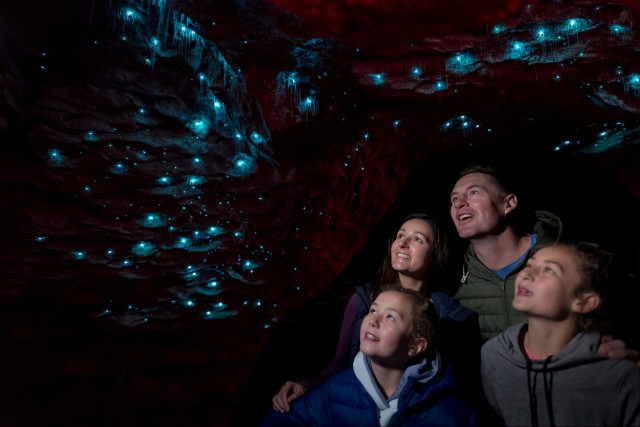 Visit Te Anau Glowworm Caves Guided Tour in Fiordland National Park