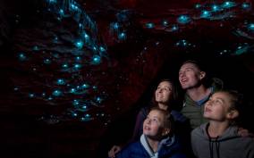 Te Anau: Glowworm Caves Guided Tour