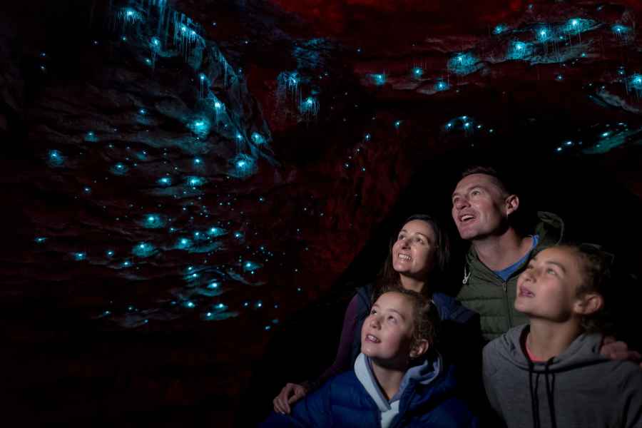 Te Anau: Geführte Tour durch die Glühwürmchenhöhlen