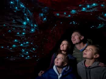 Te Anau Glowworm Caves con crociera sul lago