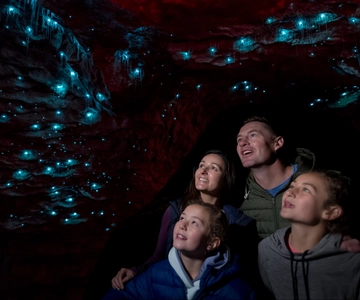 Te Anau: tour guidato delle grotte di Glowworm
