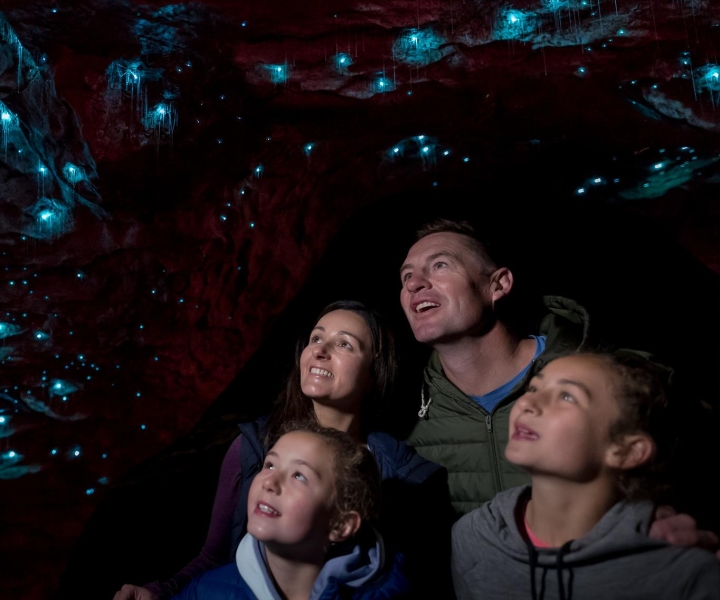 Te Anau: tour guidato alle Grotte delle lucciole