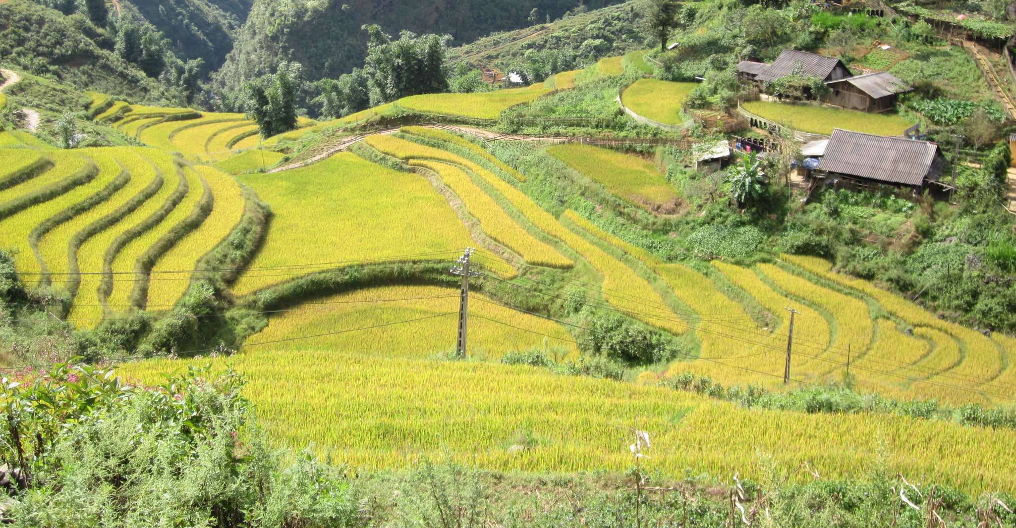 Private Hoang Lien National Park & Tribal Village Trek - Housity