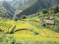 Trek de Parque Nacional Privado Hoang Lien y Tribal Village - Housity