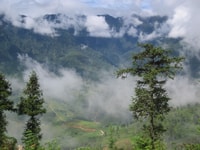 Trek de Parque Nacional Privado Hoang Lien y Tribal Village - Housity