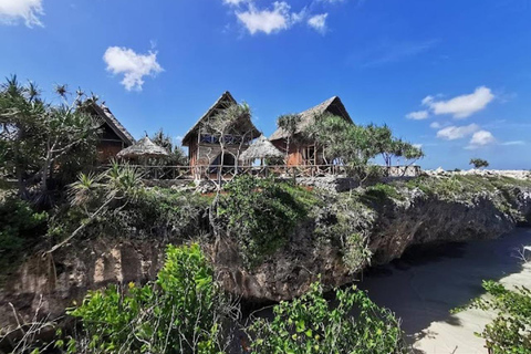 JOZANI FOREST/SEA TURTLE SANCTUARY/MTENDE BEACH