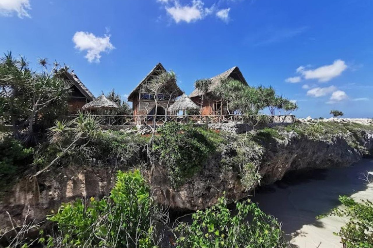 JOZANI FOREST/SEA TURTLE SANCTUARY/MTENDE BEACH