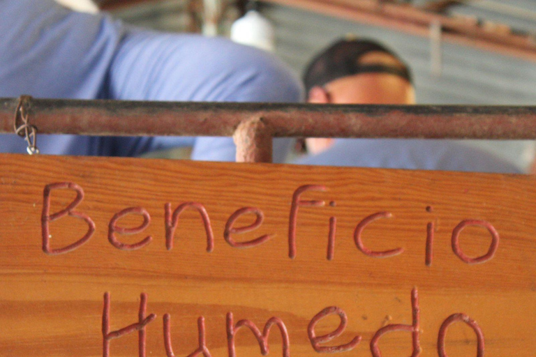 Tapachula: Argovia Coffee, Flowers, and Legacy Tour