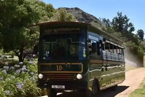 Città del Capo: Esperienza del tram del vino di Franschhoek.