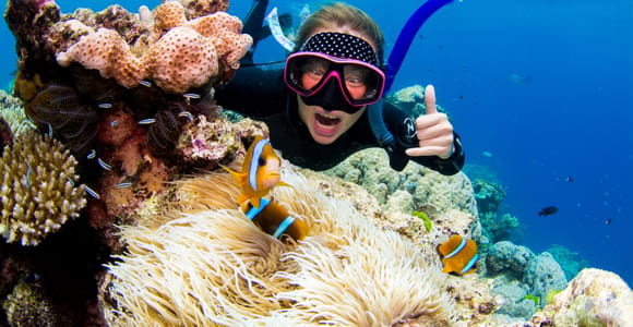 Cairns: Snorkelling and Diving Reef Day Trip