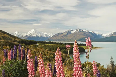 Mt. Cook Day-Tour: Christchurch to Queenstown