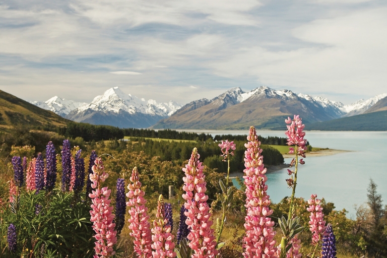 Mount Cook-Tagestour: Von Christchurch nach Queenstown