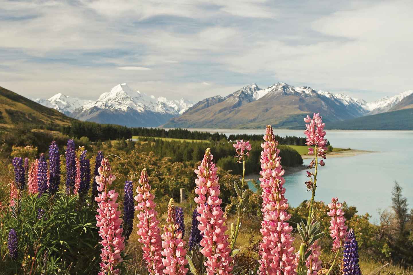 Mt. Cook Day-Tour: Christchurch to Queenstown - Mt. Cook Day-Tour: Christchurch to Queenstown