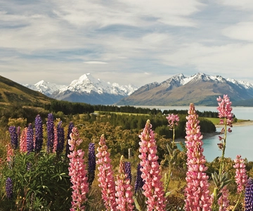 Mt. Cook Day-Tour: Christchurch to Queenstown