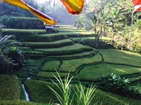 Trek, Banyumala Waterfall Trek, Bedugul y Lake Beratan Tour - Housity