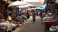 Trek, Banyumala Waterfall Trek, Bedugul y Lake Beratan Tour - Housity