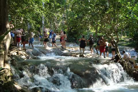Legends & Falls - Bob Marley with Dunn's River Falls & Lunch